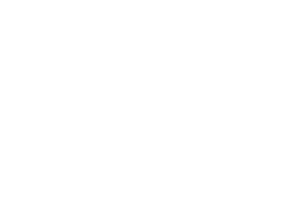 DegiNaViS